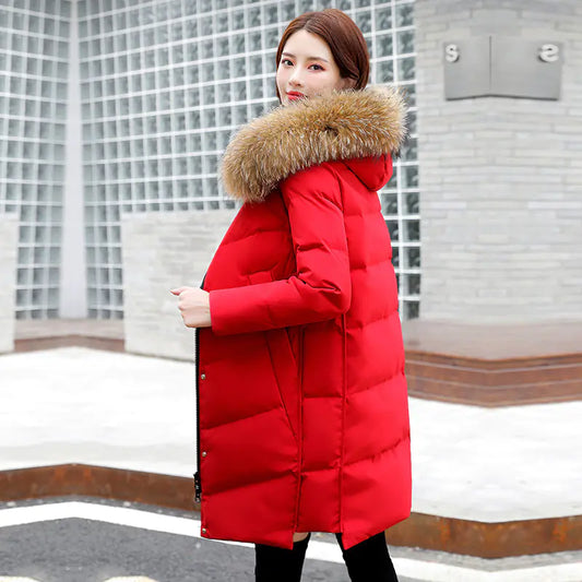 2020 Women's Korean Hooded White Duck Down Jacket
